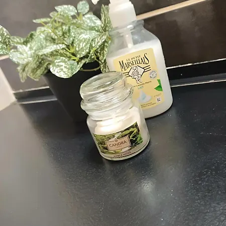 Le Quantum - Avec Netflix Et Amazon Prime Lejlighed